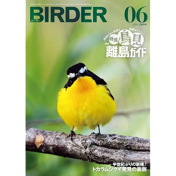 BIRDER (バーダー) 2023年 06月号 [雑誌] | BIRDER編集部 | 趣味